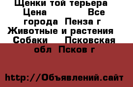 Щенки той терьера › Цена ­ 10 000 - Все города, Пенза г. Животные и растения » Собаки   . Псковская обл.,Псков г.